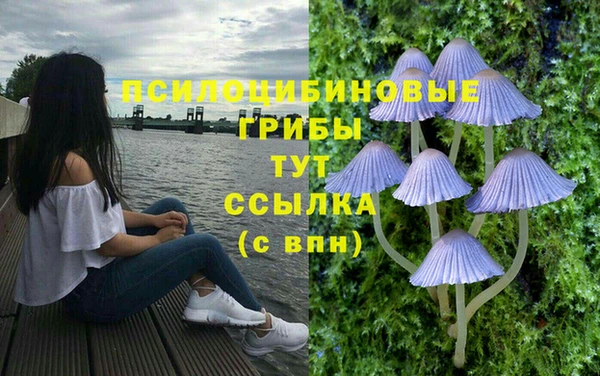 не бодяженный Алзамай