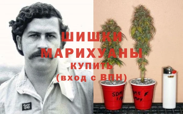 не бодяженный Алзамай